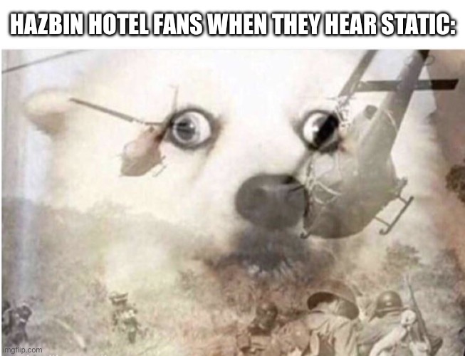 Does that make me insane? (Mod note: Yes it does) | HAZBIN HOTEL FANS WHEN THEY HEAR STATIC: | image tagged in vietnam dog,hazbin hotel,alastor hazbin hotel,amazon | made w/ Imgflip meme maker