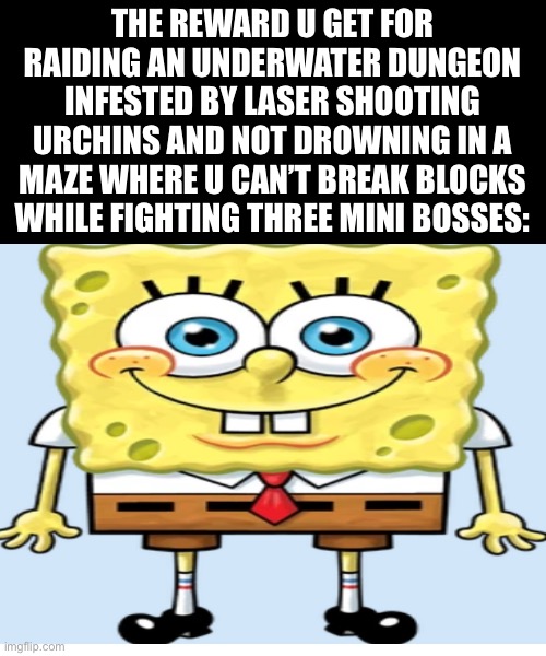 THE REWARD U GET FOR RAIDING AN UNDERWATER DUNGEON INFESTED BY LASER SHOOTING URCHINS AND NOT DROWNING IN A MAZE WHERE U CAN’T BREAK BLOCKS WHILE FIGHTING THREE MINI BOSSES: | made w/ Imgflip meme maker