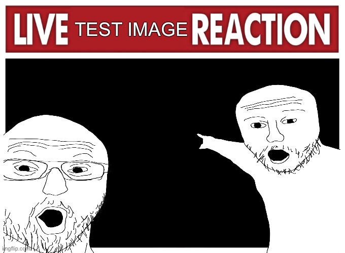 testy thing | TEST IMAGE | image tagged in live reaction | made w/ Imgflip meme maker