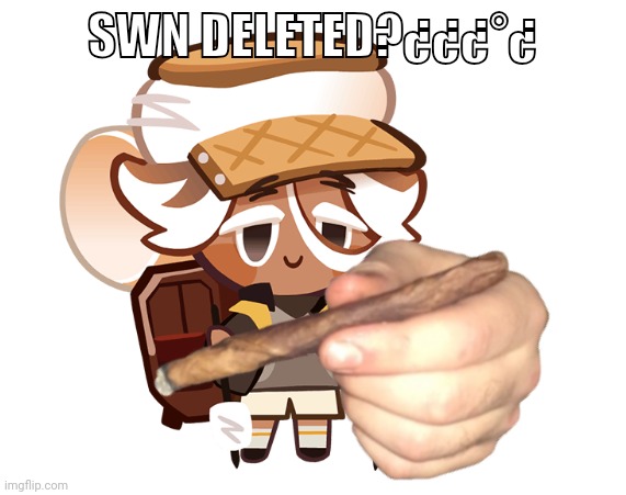 smore cookie with a blunt | SWN DELETED?¿¿¿°¿ | image tagged in smore cookie with a blunt | made w/ Imgflip meme maker