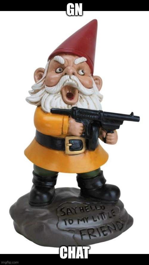 Angry Gnome | GN; CHAT | image tagged in angry gnome | made w/ Imgflip meme maker