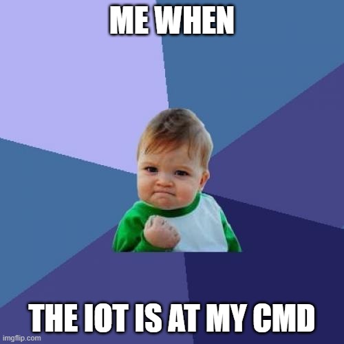 CMDR BBY | ME WHEN; THE IOT IS AT MY CMD | image tagged in memes,success kid | made w/ Imgflip meme maker