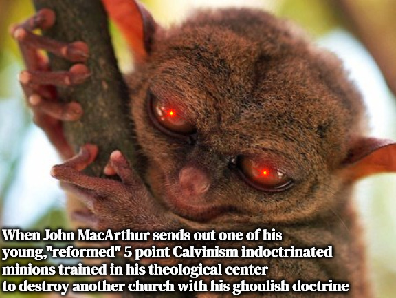 Infiltration Minions | When John MacArthur sends out one of his young,"reformed" 5 point Calvinism indoctrinated; minions trained in his theological center to destroy another church with his ghoulish doctrine | image tagged in calvinism,arminian,molinism,satanic,false teachers,psychopa | made w/ Imgflip meme maker