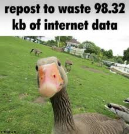 Repost to waste 98.32 kb of internet data | image tagged in repost to waste 98 32 kb of internet data | made w/ Imgflip meme maker