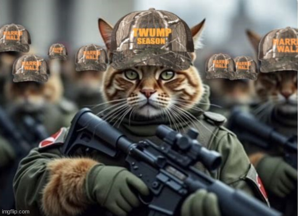 Feline Team 9 | image tagged in jds catastrophe,twamp season,meow militants,feline team 9,maga mistake,cal ladies untie | made w/ Imgflip meme maker