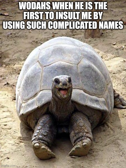 Smiling happy excited tortoise | WODAHS WHEN HE IS THE FIRST TO INSULT ME BY USING SUCH COMPLICATED NAMES | image tagged in smiling happy excited tortoise | made w/ Imgflip meme maker