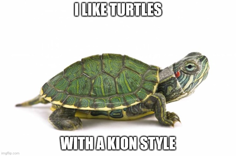 Turtle | I LIKE TURTLES; WITH A KION STYLE | image tagged in turtle | made w/ Imgflip meme maker