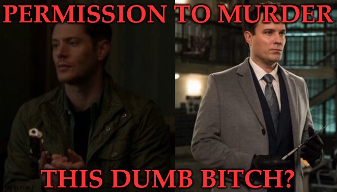 PERMISSION TO MURDER THIS DUMB BITCH? | made w/ Imgflip meme maker