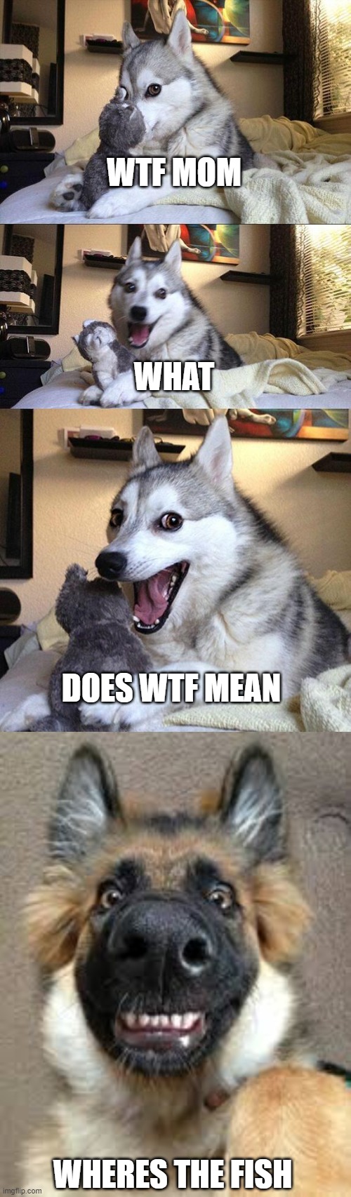 Where’s da pish | WTF MOM; WHAT; DOES WTF MEAN; WHERES THE FISH | image tagged in memes,bad pun dog | made w/ Imgflip meme maker