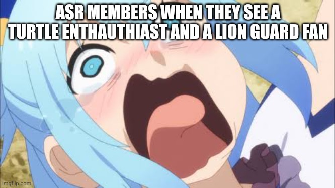 Asr is just a snowfield | ASR MEMBERS WHEN THEY SEE A TURTLE ENTHAUTHIAST AND A LION GUARD FAN | image tagged in aqua crying/screaming | made w/ Imgflip meme maker