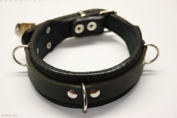 bdsm collar | image tagged in bdsm collar | made w/ Imgflip meme maker