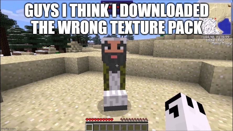 GUYS I THINK I DOWNLOADED THE WRONG TEXTURE PACK | image tagged in memes,video games,funny,games | made w/ Imgflip meme maker