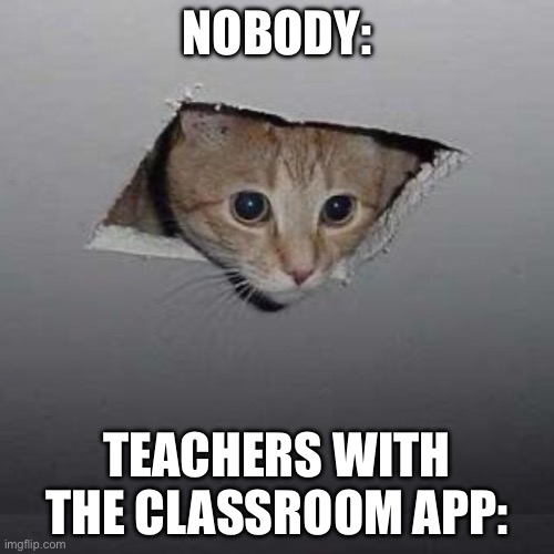 Apple classroom sucs | NOBODY:; TEACHERS WITH THE CLASSROOM APP: | image tagged in memes,ceiling cat | made w/ Imgflip meme maker