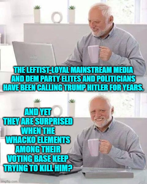 There are some leftist memers in a different stream openly calling for his death . . . with impunity. | THE LEFTIST-LOYAL MAINSTREAM MEDIA AND DEM PARTY ELITES AND POLITICIANS HAVE BEEN CALLING TRUMP HITLER FOR YEARS. AND YET THEY ARE SURPRISED WHEN THE WHACKO ELEMENTS AMONG THEIR VOTING BASE KEEP TRYING TO KILL HIM? | image tagged in hide the pain harold | made w/ Imgflip meme maker