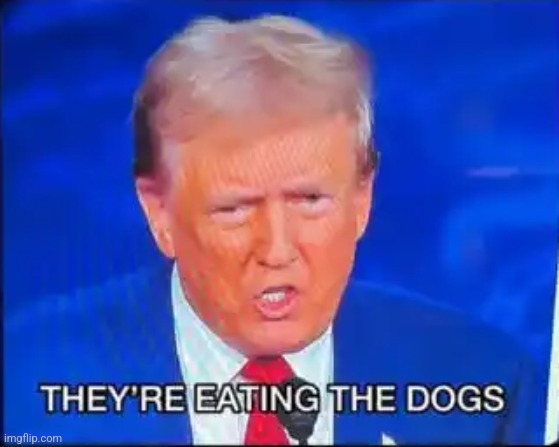 image tagged in trump dogs | made w/ Imgflip meme maker