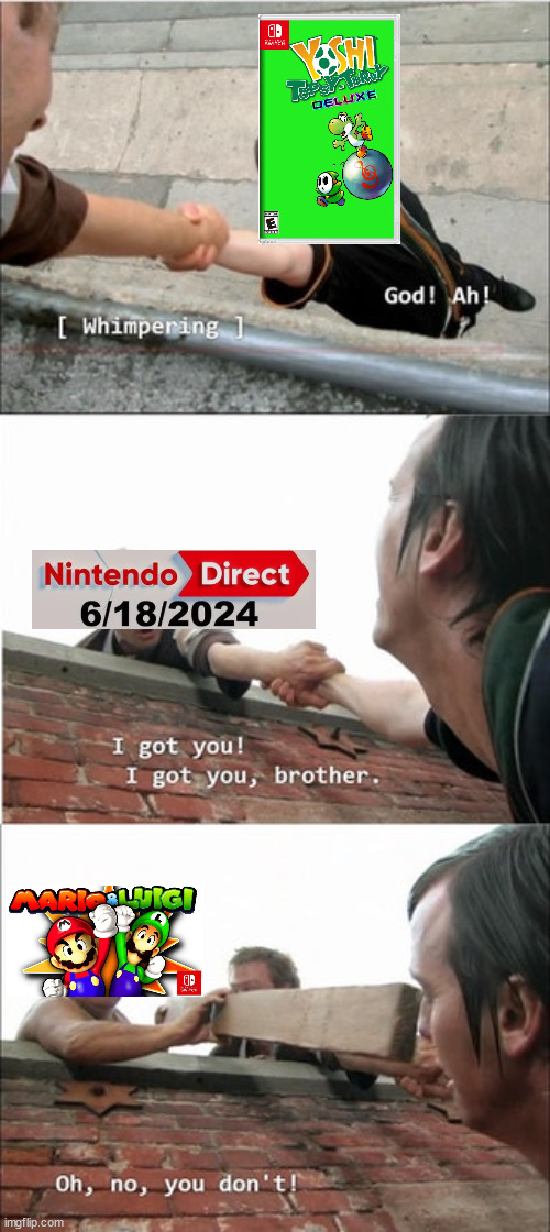 The direct has gone through the deep end... | image tagged in it's always sunny in philadelphia roof meme,nintendo direct | made w/ Imgflip meme maker