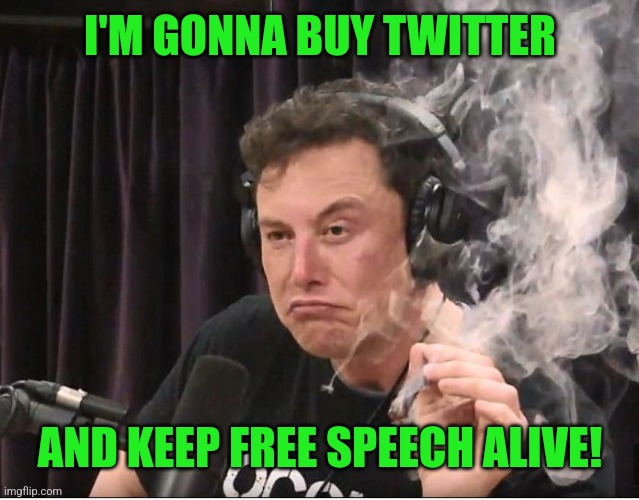 Elon Musk smoking a joint | I'M GONNA BUY TWITTER AND KEEP FREE SPEECH ALIVE! | image tagged in elon musk smoking a joint | made w/ Imgflip meme maker