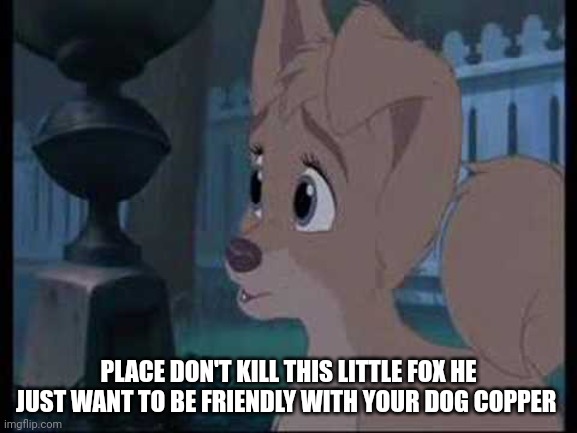 Place Don't Kill This Little Fox | PLACE DON'T KILL THIS LITTLE FOX HE JUST WANT TO BE FRIENDLY WITH YOUR DOG COPPER | image tagged in lady and the tramp 2 angel | made w/ Imgflip meme maker