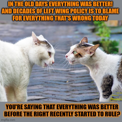 This #lolcat wonders why people blame 'the left' for right wing policies | IN THE OLD DAYS EVERYTHING WAS BETTER! 
AND DECADES OF LEFT WING POLICY IS TO BLAME 
FOR EVERYTHING THAT'S WRONG TODAY; YOU'RE SAYING THAT EVERYTHING WAS BETTER BEFORE THE RIGHT RECENTLY STARTED TO RULE? | image tagged in lolcat,right wing,leftists,politics,stupid people | made w/ Imgflip meme maker