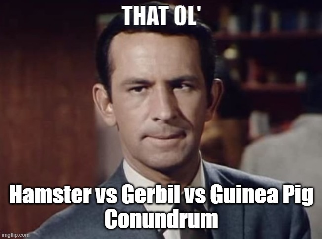 Which Rodent | THAT OL'; Hamster vs Gerbil vs Guinea Pig
Conundrum | image tagged in the old trick | made w/ Imgflip meme maker