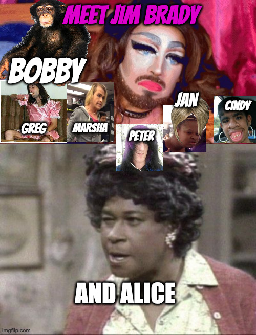 If Netflix Remade the Brady Bunch | MEET JIM BRADY; BOBBY; CINDY; JAN; MARSHA; GREG; PETER; AND ALICE | image tagged in transgender,aunt ester lectures | made w/ Imgflip meme maker