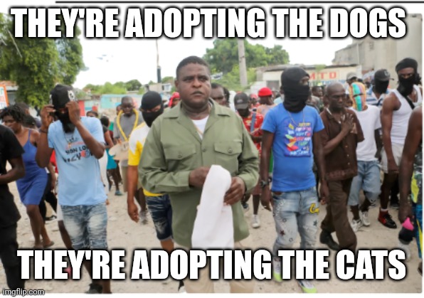 Haitian refugees | THEY'RE ADOPTING THE DOGS THEY'RE ADOPTING THE CATS | image tagged in haitian refugees | made w/ Imgflip meme maker