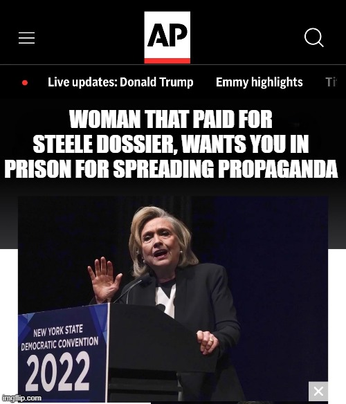 Rules for thee, not for me | WOMAN THAT PAID FOR STEELE DOSSIER, WANTS YOU IN PRISON FOR SPREADING PROPAGANDA | image tagged in hillary clinton,propaganda,free speech,maga,make america great again,first amendment | made w/ Imgflip meme maker