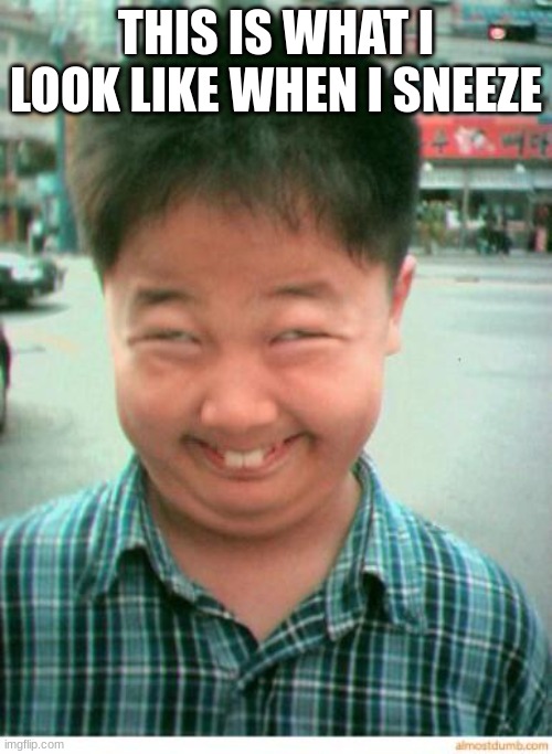 free Sujeonggwa | THIS IS WHAT I LOOK LIKE WHEN I SNEEZE | image tagged in funny asian face | made w/ Imgflip meme maker