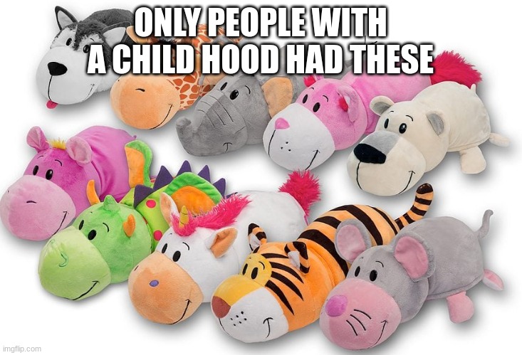 ONLY PEOPLE WITH A CHILD HOOD HAD THESE | image tagged in childhood | made w/ Imgflip meme maker