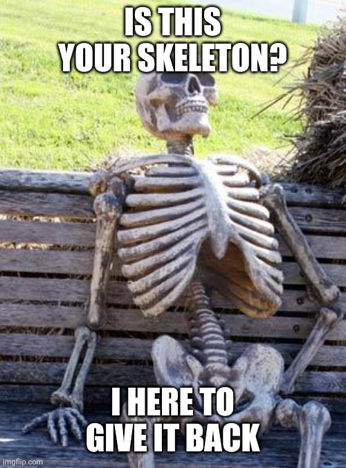 IS THIS YOUR SKELETON? I HERE TO GIVE IT BACK | image tagged in memes,waiting skeleton | made w/ Imgflip meme maker