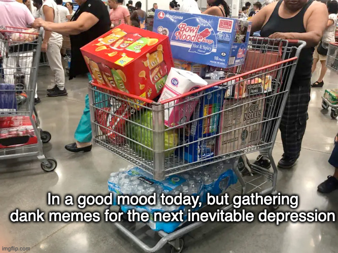 stockpiling dank memes | In a good mood today, but gathering dank memes for the next inevitable depression | image tagged in stockpiling,memes,dank,neurodivergent,depression | made w/ Imgflip meme maker