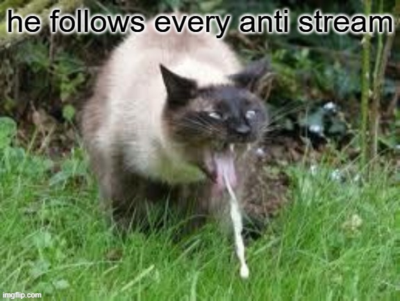 he follows every anti stream | image tagged in he follows every anti stream | made w/ Imgflip meme maker