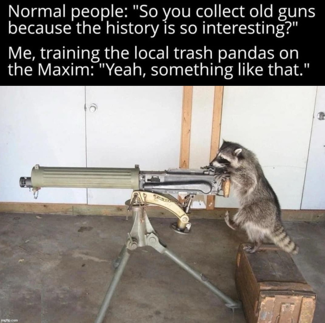 Trash Panda | image tagged in weapons | made w/ Imgflip meme maker