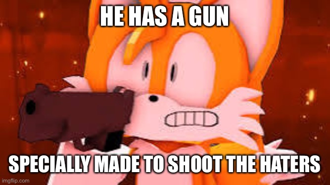 HE HAS A GUN; SPECIALLY MADE TO SHOOT THE HATERS | made w/ Imgflip meme maker