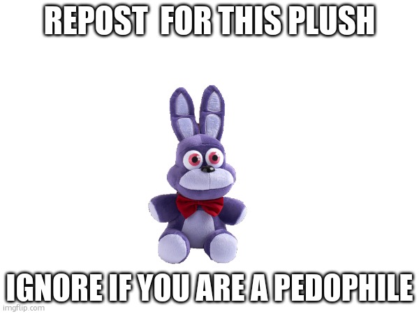 REPOST  FOR THIS PLUSH; IGNORE IF YOU ARE A PEDOPHILE | made w/ Imgflip meme maker