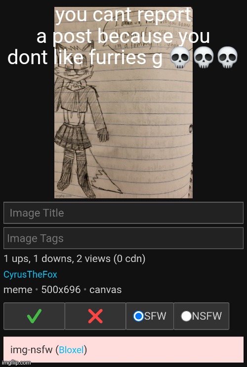you cant report a post because you dont like furries g 💀💀💀 | made w/ Imgflip meme maker