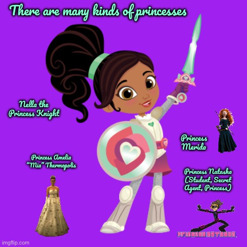 Many Kinds of Princesses | There are many kinds of princesses; Nella the Princess Knight; Princess Merida; Princess Amelia “Mia” Thermopolis; Princess Natasha (Student, Secret Agent, Princess) | image tagged in nella,disney princess,princess,girl,girls,nickelodeon | made w/ Imgflip meme maker