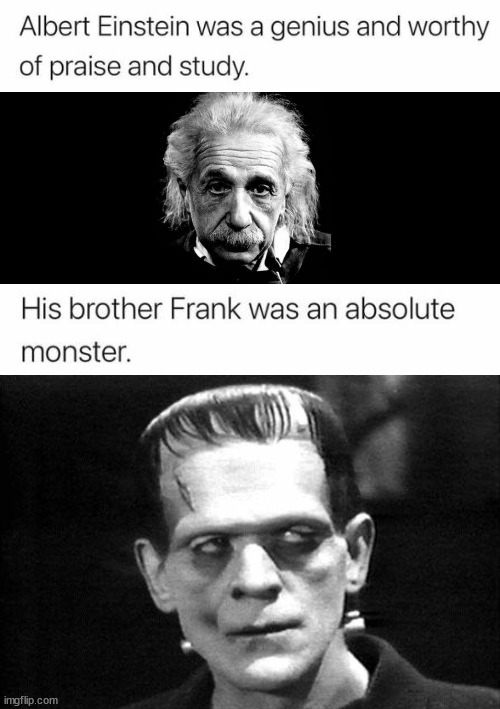 Stein's | image tagged in memes,albert einstein 1,frankenstein | made w/ Imgflip meme maker