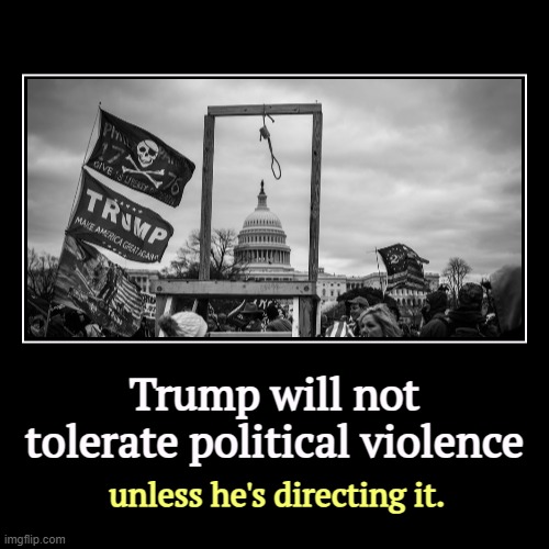 140 cops hospitalized, five deaths, in the worst political violence since the Civil War. And it's all Trump's, nobody else's. | Trump will not tolerate political violence | unless he's directing it. | image tagged in funny,demotivationals,mike pence,trump,fascist,violence | made w/ Imgflip demotivational maker