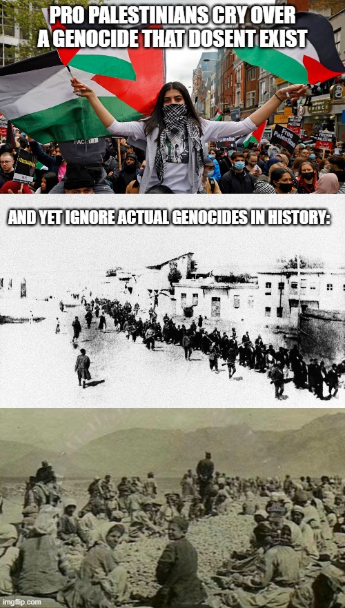 Honestly, they dont Suprise me anymore. | PRO PALESTINIANS CRY OVER A GENOCIDE THAT DOSENT EXIST; AND YET IGNORE ACTUAL GENOCIDES IN HISTORY: | image tagged in genocide,armenia,palestine | made w/ Imgflip meme maker