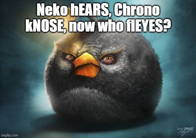 angry birds bomb | Neko hEARS, Chrono kNOSE, now who flEYES? | image tagged in angry birds bomb | made w/ Imgflip meme maker