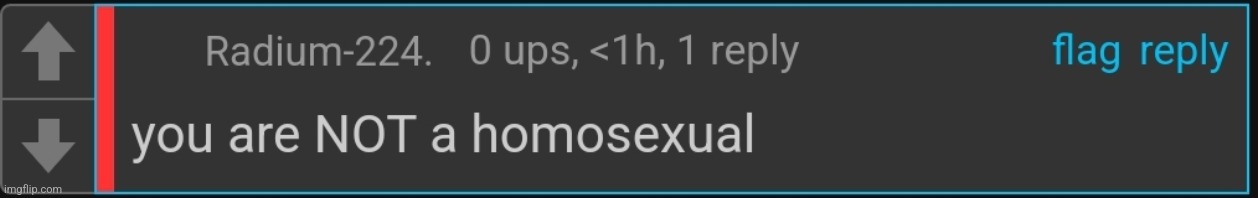 Skipping ;) | image tagged in radium you are not a homosexual | made w/ Imgflip meme maker
