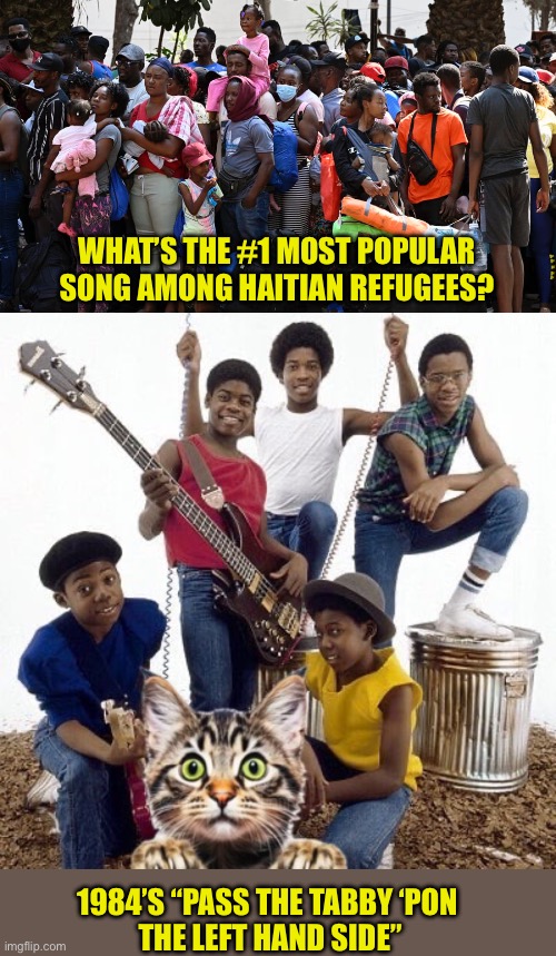 Cat On A Hot Tin Roof Stuff | WHAT’S THE #1 MOST POPULAR SONG AMONG HAITIAN REFUGEES? 1984’S “PASS THE TABBY ‘PON 
THE LEFT HAND SIDE” | image tagged in haitian refugees,cats,musical youth,pass the dutchie,1984,tabby | made w/ Imgflip meme maker