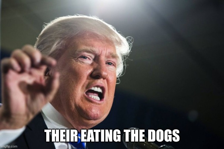 donald trump | THEIR EATING THE DOGS | image tagged in donald trump | made w/ Imgflip meme maker