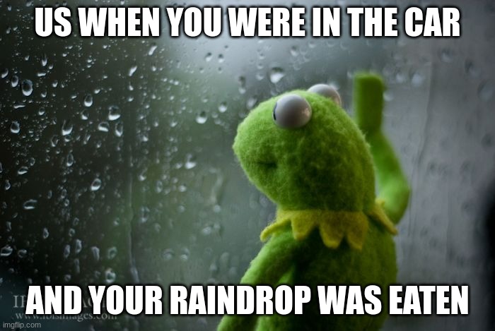 Then you switched to another | US WHEN YOU WERE IN THE CAR; AND YOUR RAINDROP WAS EATEN | image tagged in kermit window,relatable,nostalgia,funny | made w/ Imgflip meme maker