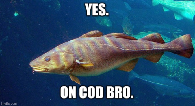 Yes. On cod bro. | image tagged in yes on cod bro | made w/ Imgflip meme maker