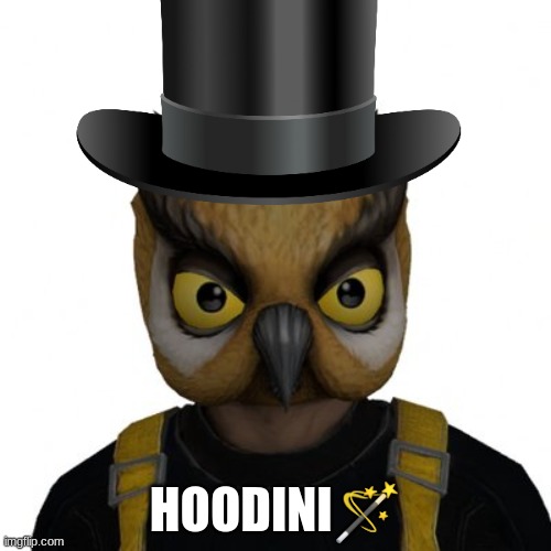 Hoodini | HOODINI🪄 | image tagged in vanossgaming vanossgaming / x,owl,magic | made w/ Imgflip meme maker