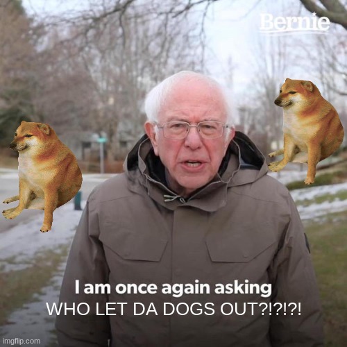 WHO LET THE DOGS OUT | WHO LET DA DOGS OUT?!?!?! | image tagged in memes,bernie i am once again asking for your support | made w/ Imgflip meme maker