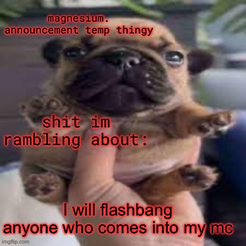 and touch you | I will flashbang anyone who comes into my mc | image tagged in pug temp | made w/ Imgflip meme maker