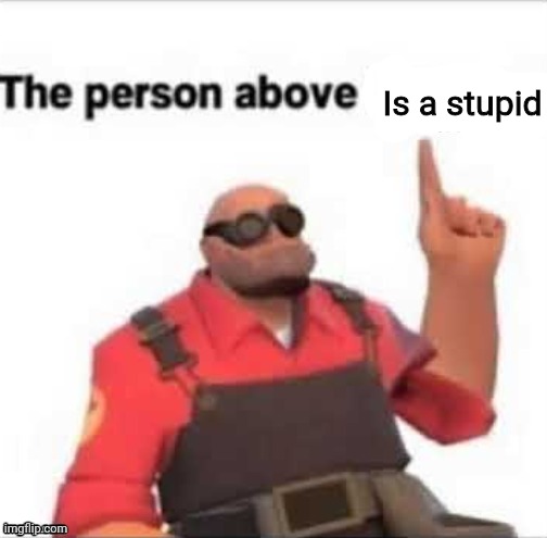 The person above | Is a stupid | image tagged in the person above | made w/ Imgflip meme maker